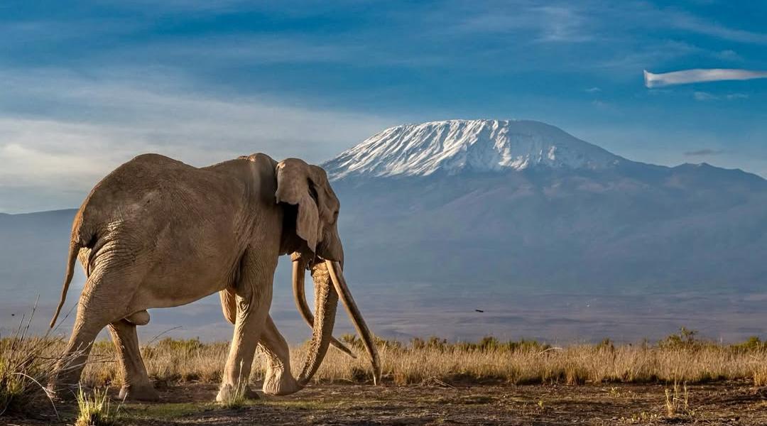 Roof of Africa